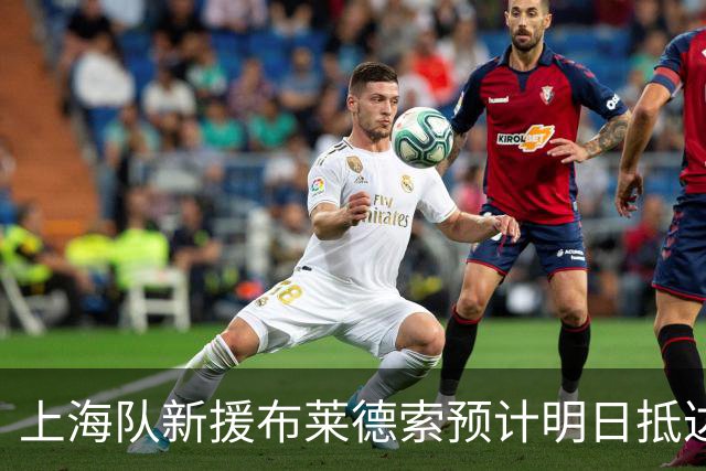 上海队新援布莱德索预计明日抵达 签证问题造成延误